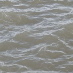 やっと釣れた‼前は⁇A long time ago‼